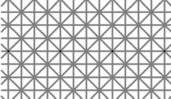 Erre tényleg csak a legszemfülesebbek tudják a helyes választ: hány fekete pontot látsz a rajzon?