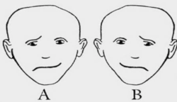 Szerinted melyik arc a boldogabb a kettő közül? Választásod sok-sok fontos dologról árulkodik veled kapcsolatban: