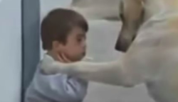 A kutyus odamegy a Down-szindromás kisfiúhoz: ez a kisfilm bemutatja, milyen kivételesen okos és jólelkű tud lenni egy állat