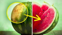 Így választhatod ki a tökéletes görögdinnyét