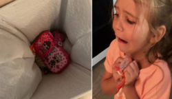 A kislány hiszti után a kukába dobta az ajándékát – Amit az anyuka tett, arra nincsenek szavak