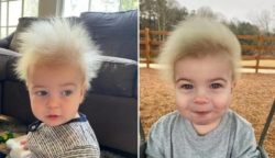 Imádja az internet a kisfiút, akit „kifésülhetetlen hajjal” áldott meg a sors