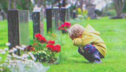 A kisfiú minden nap elszökik a mostohaapja elől az anyja sírjához, ott találkozik az édesanyja képmásával
