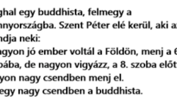 Vicc: Meghal egy buddhista, felmegy a Mennyországba. Szent Péter elé kerül, aki azt mondja neki:
