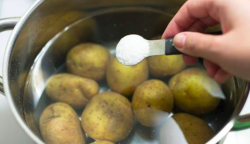 Íme egy titok: ezért főzd cukros vízben a krumplit! Innentől kezdve én csak így csinálom majd!