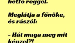 Vicc: Béla hullarészegen megy be dolgozni hétfő reggel. Meglátja a főnöke…