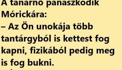 VICC: Az elfoglalt szülők helyett Móricka nagymamája vesz részt a szülőin