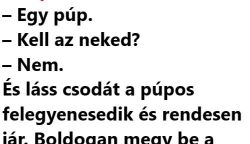 Humor: Megy a púpos a temetőben…