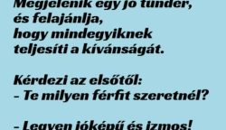 VICC: A jó tündér felajánlja három nőnek, hogy odavarázsolja nekik álmaik pasiját