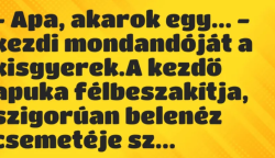 Vicc: – Apa, akarok egy… – kezdi mondandóját a kisgyerek. A kezdő…