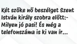 Vicc: Két szőke nő beszélget Szent István király szobra előtt: – Milyen…