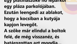 VICC: Egy platinaszőke nő leparkol egy pláza parkolójában