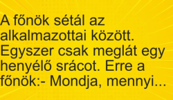 Vicc: A főnök sétál az alkalmazottai között. Egyszer csak meglát egy henyélő…