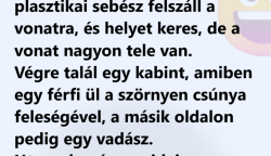 Vicc:  A messze földön híres plasztikai sebész felszáll a vonatra