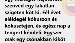 Vicc:Egy manager hajótörést szenved egy lakatlan szigeten köt ki