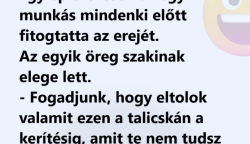 Vicc:Egy építkezésen az egyik munkás mindenki előtt fitogtatta az erejét