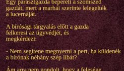 VICC: Egy parasztgazda bepereli a szomszéd gazdát, mert a marhái lelegelték a lucernáját.