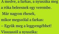 A medve, a farkas, a nyuszika meg a róka beleesnek egy verembe.