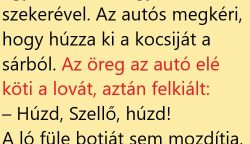 VICC: Egy autós elakad a sárban egy elhagyatott földúton