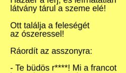 VICC: Hazaér a férj, és leírhatatlan látvány tárul a szeme elé