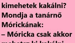 VICC: Móricka ül az órán és megkérdi a tanárnőt.