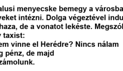 Vicc: A falusi menyecske bemegy a városba ügyeket intézni