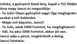 Vicc: Ha adsz 5000 Forintot, akkor jól van, csak gyere menjünk oda a bokorba.