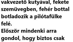 VICC: Felszállás előtt a repülő utasai csodálkozva látják, hogy a kapitány egy vakvezető kutyával