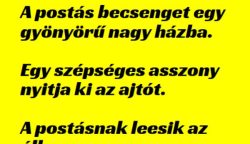 VICC: A postás becsenget egy gyönyörű nagy házba. Egy szépséges asszony nyitja ki az ajtót.