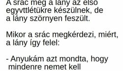 Vicc: A srác meg a lány az első egy***létükre készülnek, de a lány szörnyen feszült