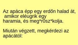 VICC: Az apáca egy erdőn halad át, amikor elépattan egy haramia