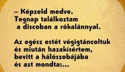 VICC: Nyuszika találkozik az erdőben a medvével