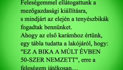 VICC: Feleségemmel ellátogattunk a mezőgazdasági kiállításra, s mindjárt az elején a tenyészbikák fogadtak bennünket. Ahogy az első karámhoz értünk, egy tábla tudatta a lakójáról, hogy: