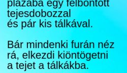 VICC: Az öreg néni bemegy a plázába, és elkezd kis tálkákba tejet öntögetni. Odalép a biztonsági őr