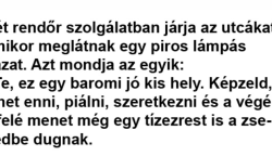 Két rendőr szolgálatban járja az utcákat, amikor meglátnak egy piros lámpás házat