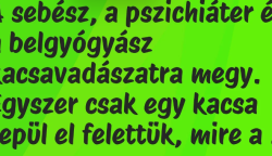 Vicc: A sebész, a pszichiáter és a belgyógyász kacsavadászatra megy. Egyszer…