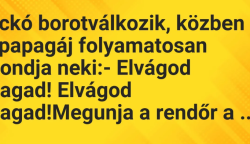 Vicc: Fickó borotválkozik, közben a papagáj folyamatosan mondja neki:…