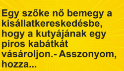 Vicc: Egy szőke nő bemegy a kisállatkereskedésbe, hogy a kutyájának egy…